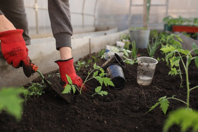 Jardins em Condomínios: Senso de Comunidade, Bem-Estar e Sustentabilidade